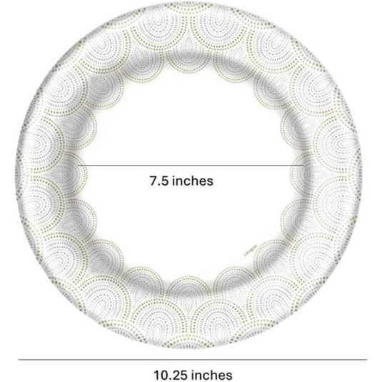 Metallic Rays 10.25" Meal/Dinner Paper Plates Disposable Plates VeZee