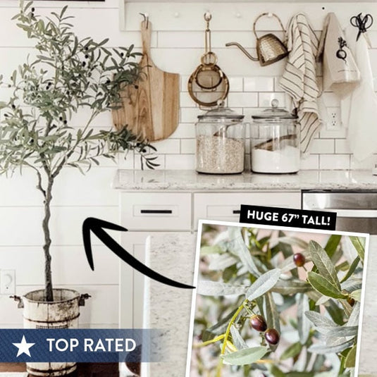 Faux Olive Tree | 67 Inch Premium Lush Potted Olive Tree General ABH