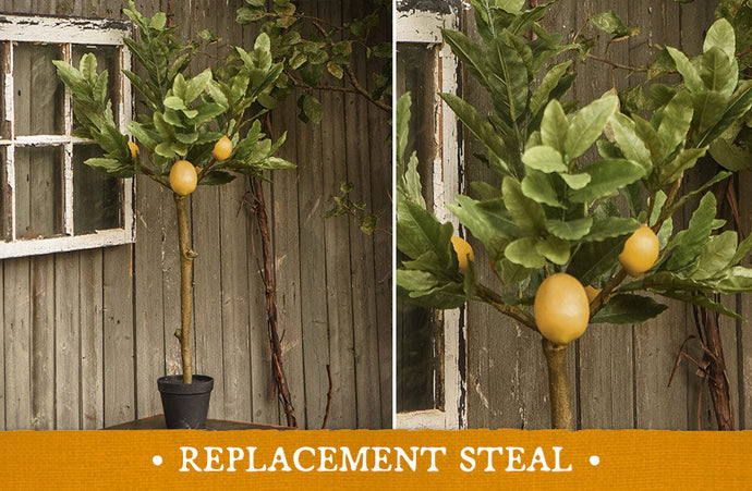 3 Foot Tall Potted Lemon Tree General RH