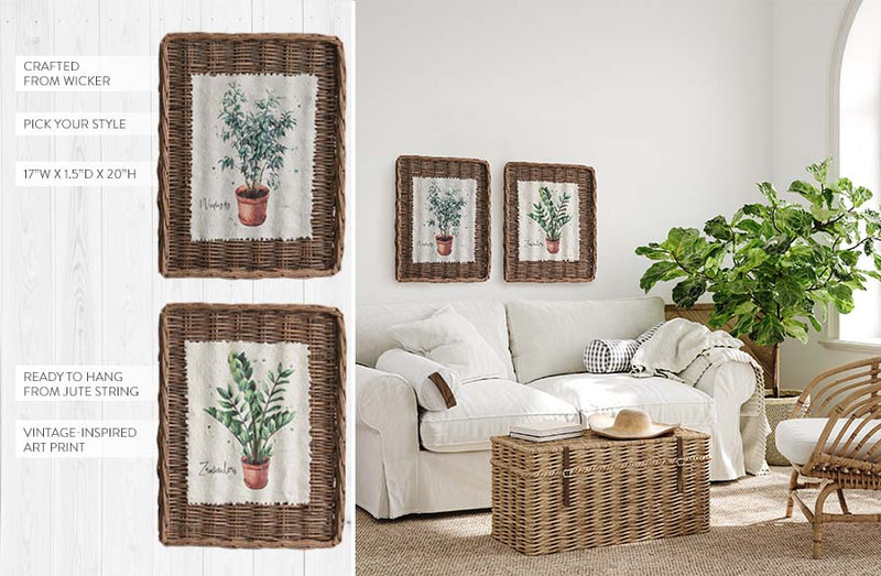 Load image into Gallery viewer, Weeping Fig and Plant Wall Basket Framed Art, Pick Your Style Whats trending Decor Steals
