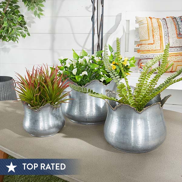 Scalloped Edge Galvanized Planters, Set of 3 General UMA