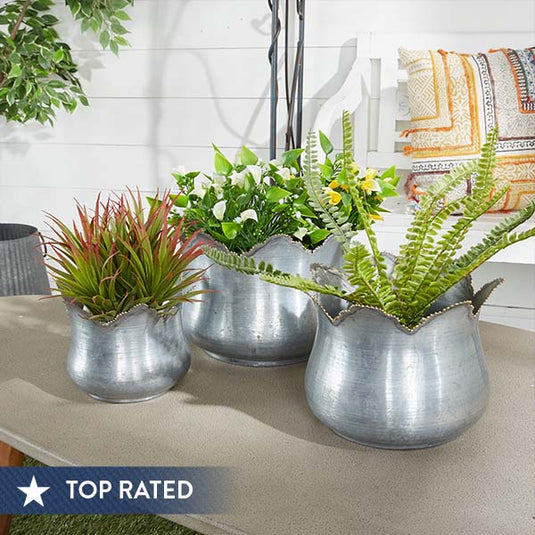 Scalloped Edge Galvanized Planters, Set of 3 General UMA