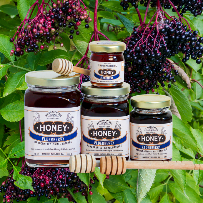 Elderberry Infused Honey Gift Naturacentric