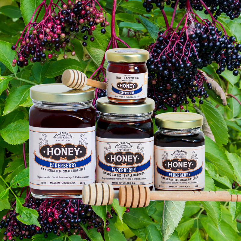 Load image into Gallery viewer, Elderberry Infused Honey Gift Naturacentric
