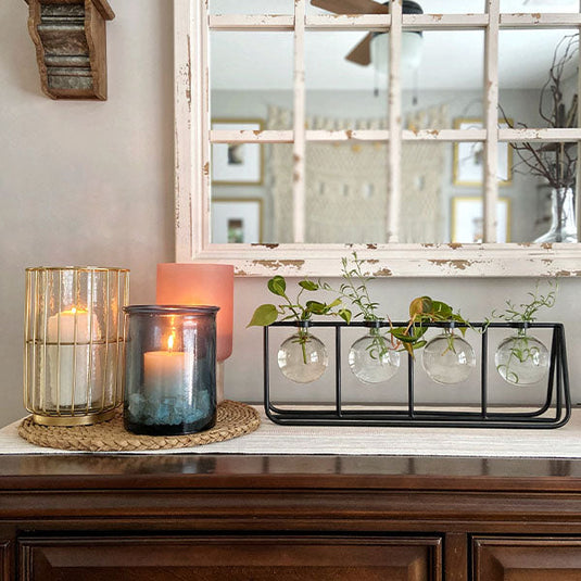 Clear Glass Bud Vases with Metal Rack General ABH