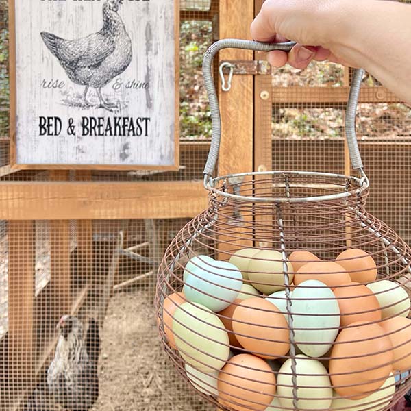 FOUND Metal Wire Egg Basket General C&G