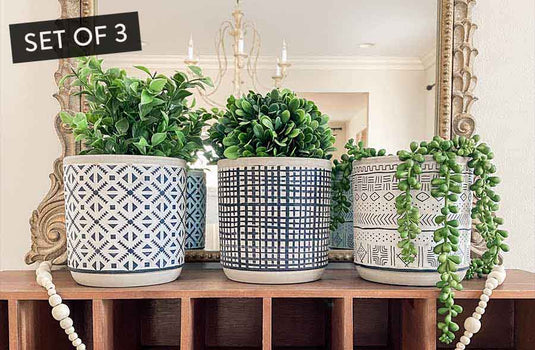 Textured Design Cement Planter Pots, Set of 3 General SUL