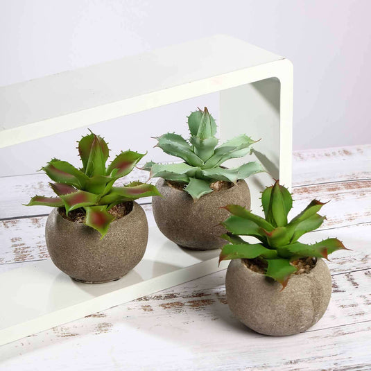 3-Pack Aloe Artificial Succulents in Ceramic Pot - Lifelike Decorative Faux Plants for Home Office & Event Design 5