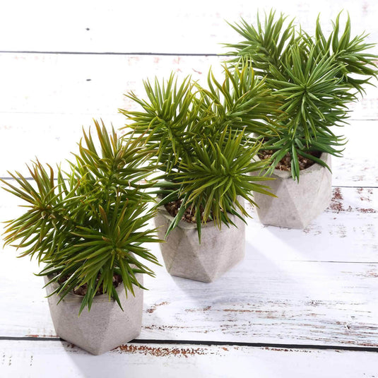 3-Pack Crassula Artificial Succulents in Geometric Ceramic Pot - Lifelike Decorative Faux Plants for Home Office & Event Design 8" Decorations PROstorez Default Title