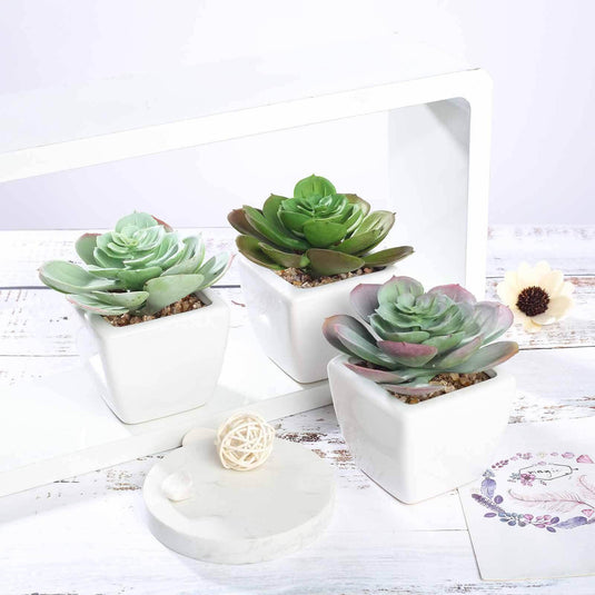 3-Pack Echeveria Artificial Succulents in Ceramic Pot - Lifelike Decorative Faux Plants for Home Office & Event Design 4" Decorations PROstorez Default Title