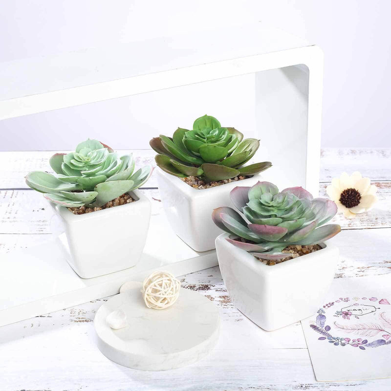 3-Pack Echeveria Artificial Succulents in Ceramic Pot - Lifelike Decorative Faux Plants for Home Office & Event Design 4" Decorations PROstorez Default Title