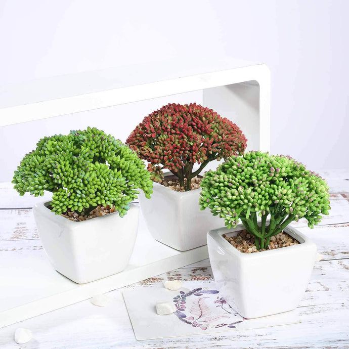 3-Pack Joy Sedum Artificial Succulents in Ceramic Pots - Lifelike Decorative Faux Plants for Home Office & Event Design 6