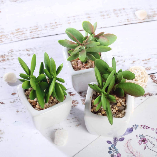 3-Pack Mini Jade Artificial Succulents in Ceramic Pots - Lifelike Decorative Faux Plants for Home Office & Event Design 3