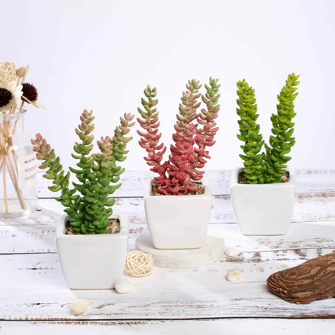 3-Pack Sedum Artificial Succulents in Ceramic Pot - Lifelike Decorative Faux Plants for Home Office & Event Design 8