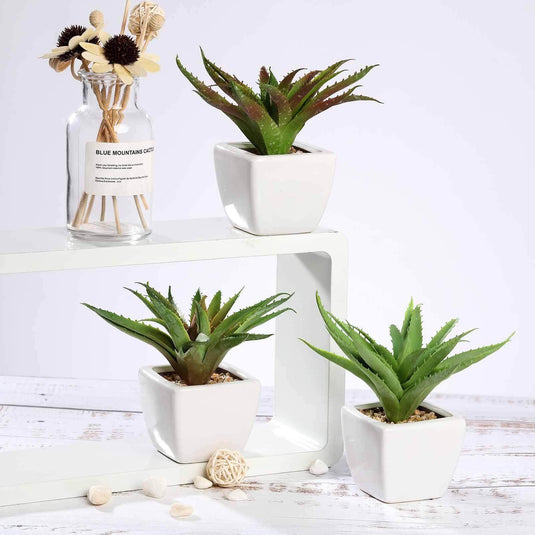 3-Pack Spotted Aloe Vera Artificial Succulents in Ceramic Pot - Lifelike Decorative Faux Plants for Home Office & Event Design 5