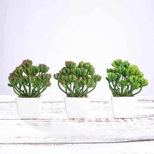 3-Pack Stonecrop Artificial Succulents in Ceramic Pots - Lifelike Decorative Faux Plants for Home Office & Event Design 7