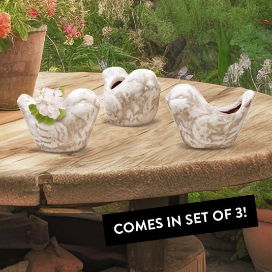 Bird Clay Pots, Set of 3 General CIMA