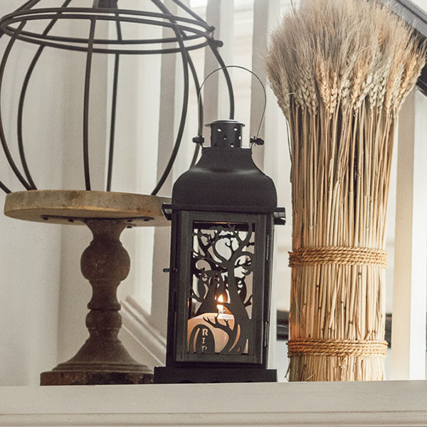 Owl Cutout Metal Lantern Whats trending CT