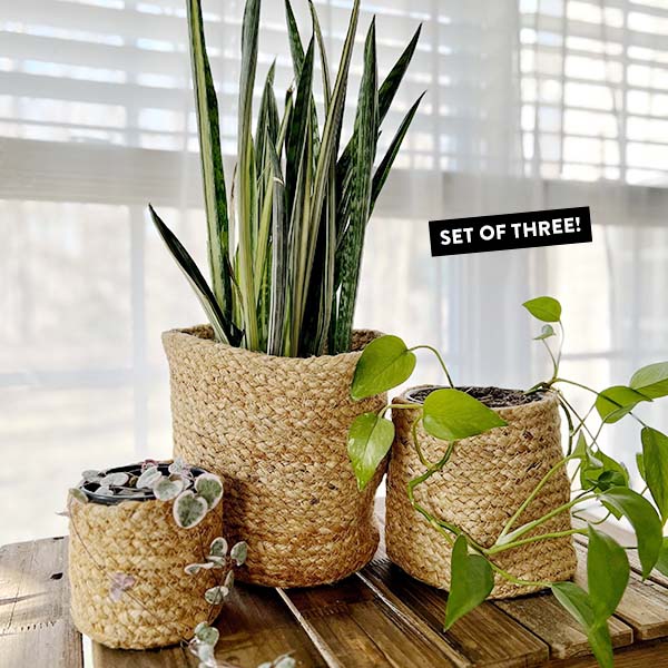 Jute Storage Planters, Set of 3 Whats trending CT