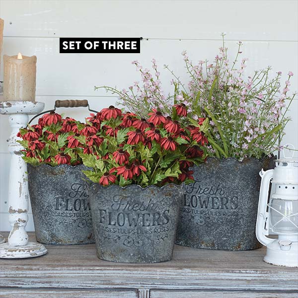 Scalloped Flower Buckets, Set of 3 General RH