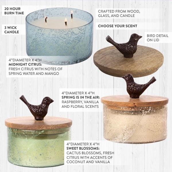 Load image into Gallery viewer, 3 Wick Candle With Bird Lid, Choose Your Color Whats trending HE
