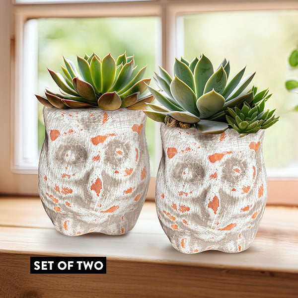 Terracotta Owl Pots, Set of 2 General CIMA