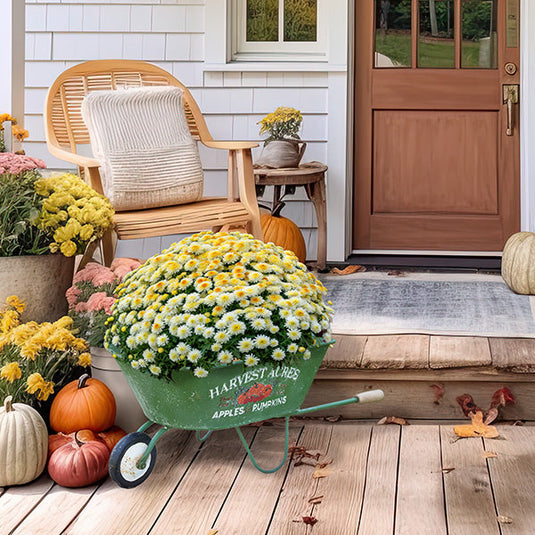 Harvest Acres Large Wheelbarrow Planter Whats trending CT