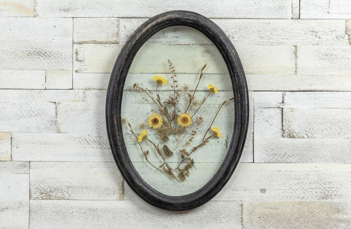 Black Oval Framed Pressed Botanicals General RH