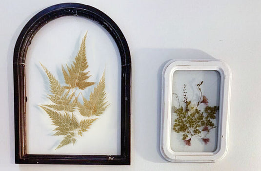 Wooden Framed Pressed Botanical Wall Decor, Pick Your Style General Decor Steals