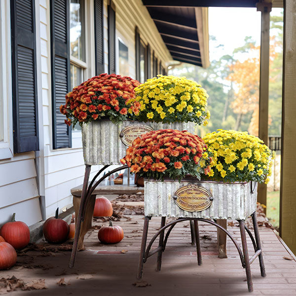 Farmhouse Galvanized Metal Planters with Stands, Set of 2 Whats trending CT