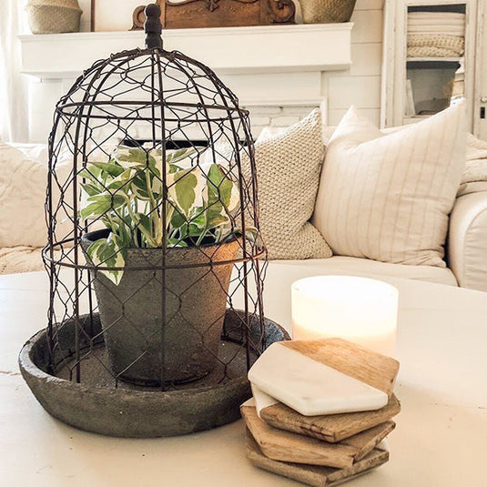 Chicken Wire Cloche with Terra Cotta Pot and Saucer General CT