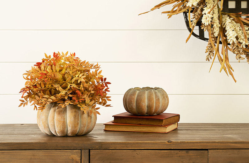 Load image into Gallery viewer, Festive Fall Pumpkin Planter, Pick Your Size General Decor Steals
