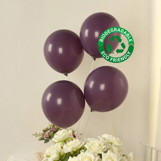 50 Pack Matte Pastel Violet Amethyst Biodegradable Balloons 12", Round Eco-friendly Thick Latex Party Balloons Decorations HIER_9110