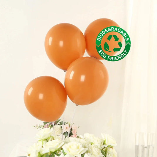 50 Pack Matte Pastel Caramel Biodegradable Balloons 12", Round Eco-friendly Thick Latex Party Balloons Decorations HIER_9110