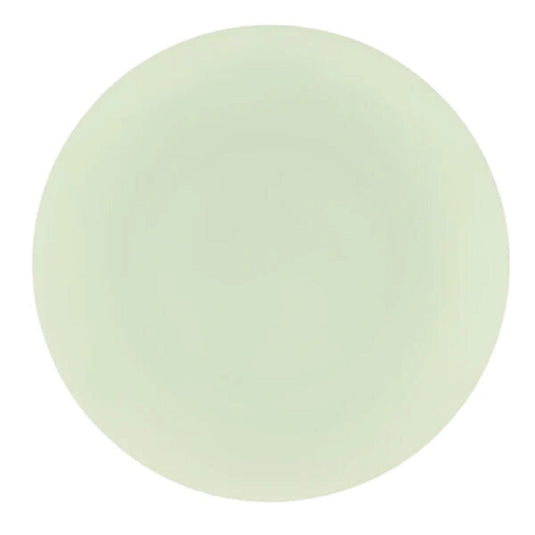 Combo set 10.25in. & 7.5in. Mint Green Tulip Round Plastic Dinnerware Set Elegant Plates Blue Sky