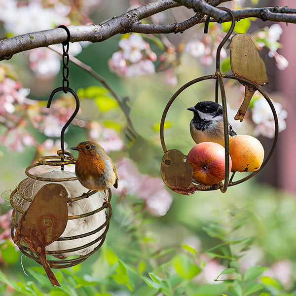 Winged Retreats Hanging Bird Feeder or Nest Starter, Choose Your Style Shop CIMA