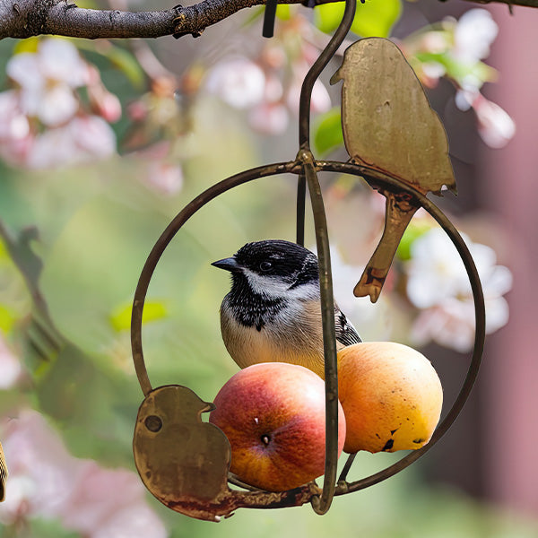 Load image into Gallery viewer, Winged Retreats Hanging Bird Feeder or Nest Starter, Choose Your Style Shop CIMA
