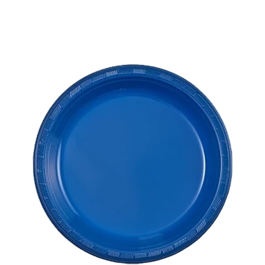 Blue Plastic Plate 7