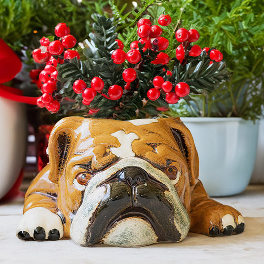 English Bulldog Ceramic Planter Gift KAL