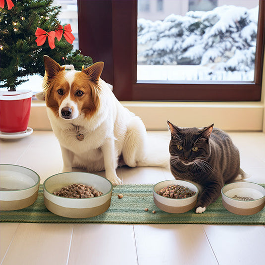 Ceramic Pet Bowls Collection, Choose Your Style Whats trending KAL