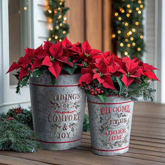 Metal Christmas Storage Containers, Set of Two, Choose Your Style General CT