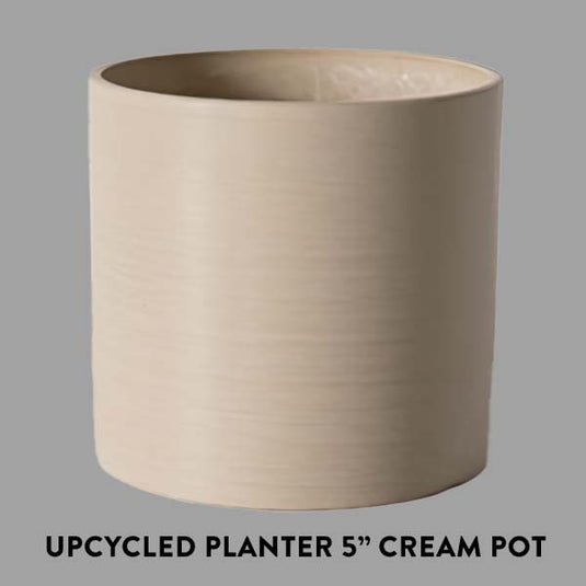 Maria Houseplant, Pick Your Pot Collection Decor Steals