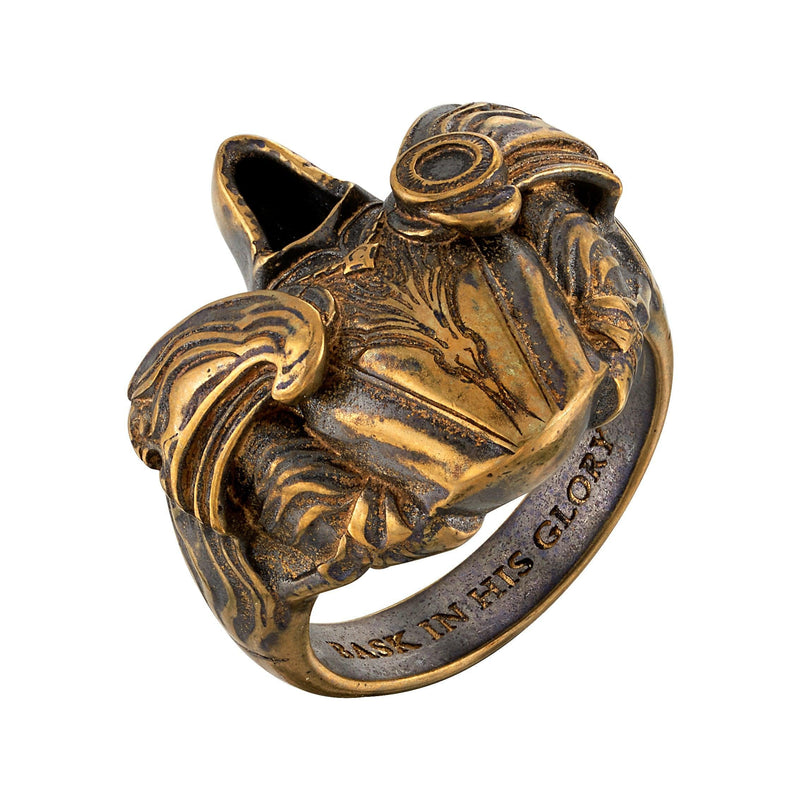 Load image into Gallery viewer, Diablo IV - RockLove Inarius - Ring Accessories RockLove Jewelry
