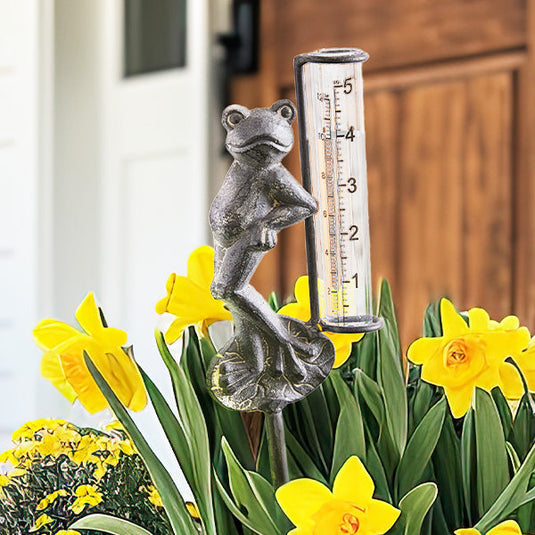 Lily Frog Statue with Rain Gauge Whats trending CT