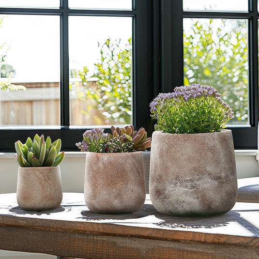 Distressed Terracotta Round Planters, Set of 3 Whats trending TP