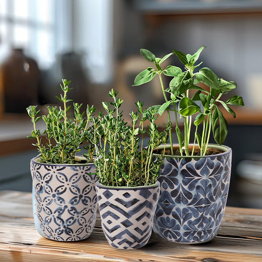 Patterned Spring Blue Planters, Set of 3 Whats trending TP