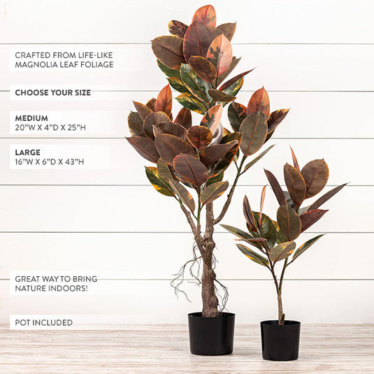 Magnolia Faux Indoor Tree, Choose Your Size RH