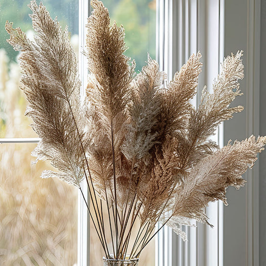 Large Bundle of Natural Pampass Grass General KAL