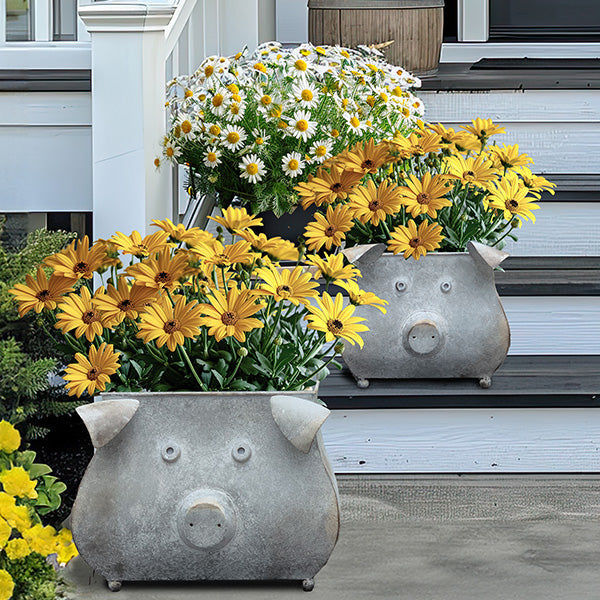 Galvanized Piggy Metal Planters, Set of 2 Shop ABH