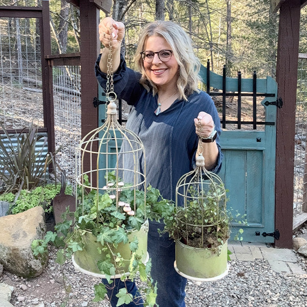 Hanging Metal Rustic Birdcage Planter, Set of Two Whats trending VIP